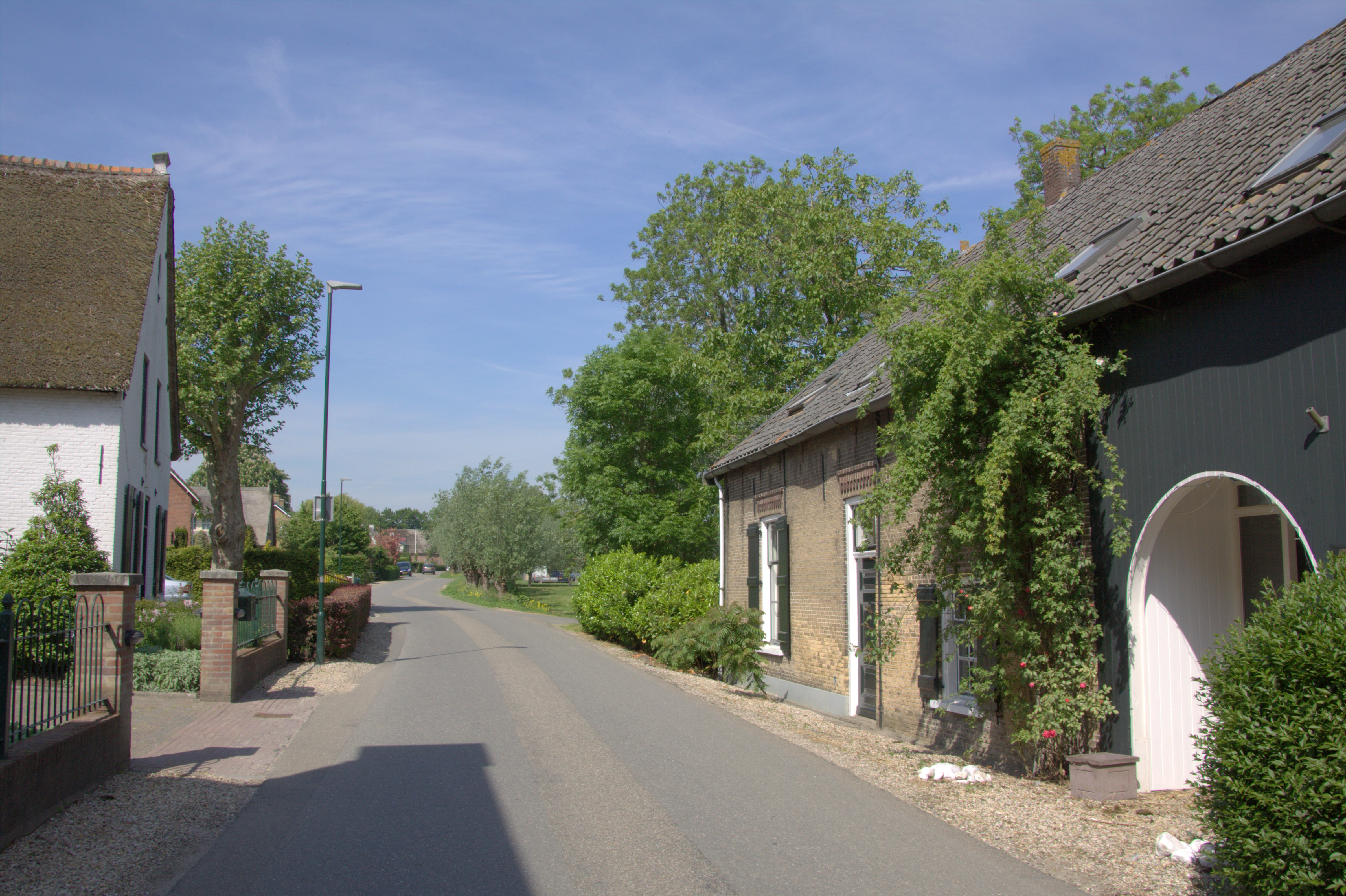 Website laten maken in Giessenburg