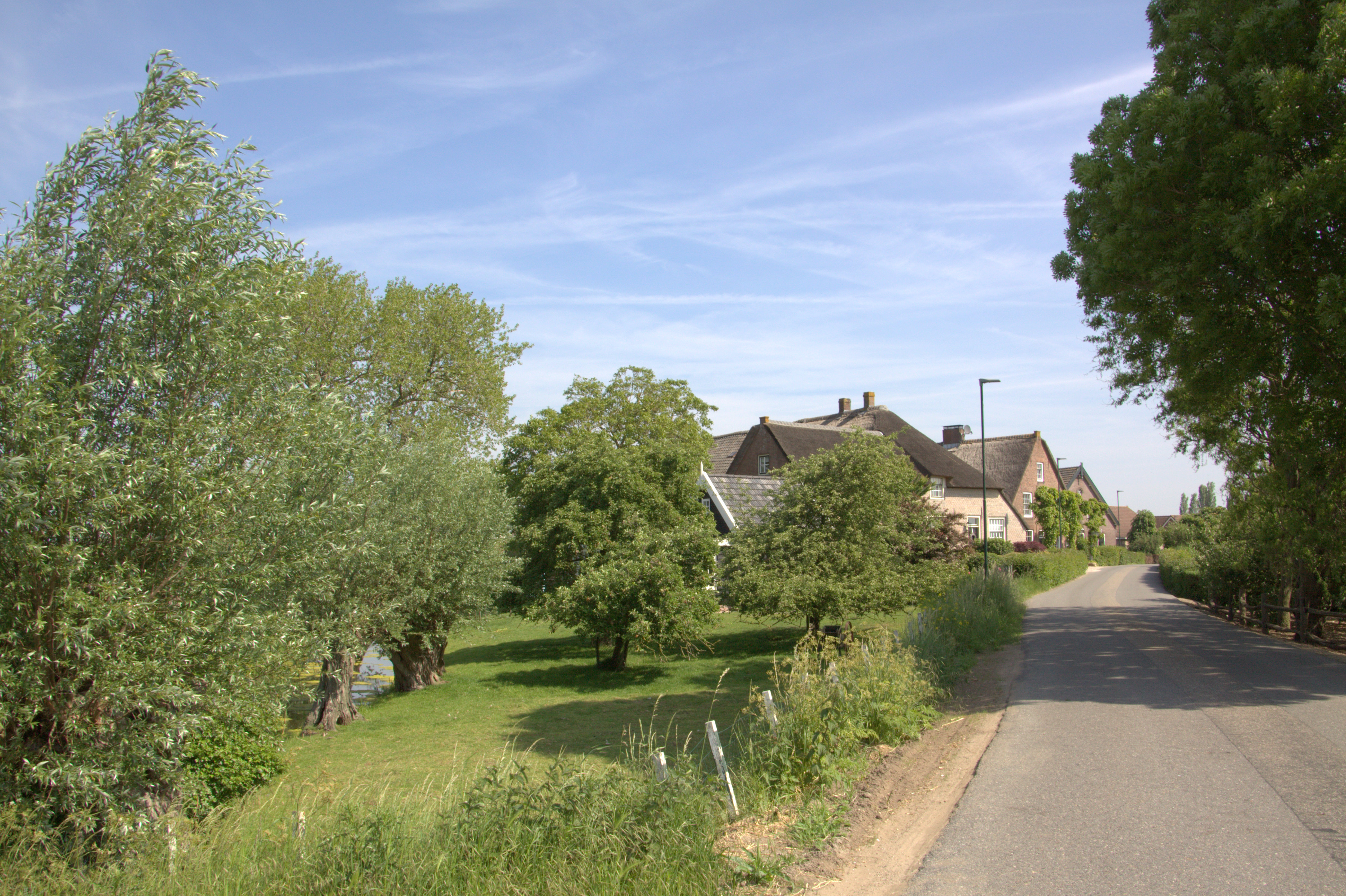 Website laten maken in Molenlanden